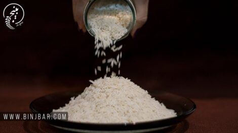 اختلاط در برنج